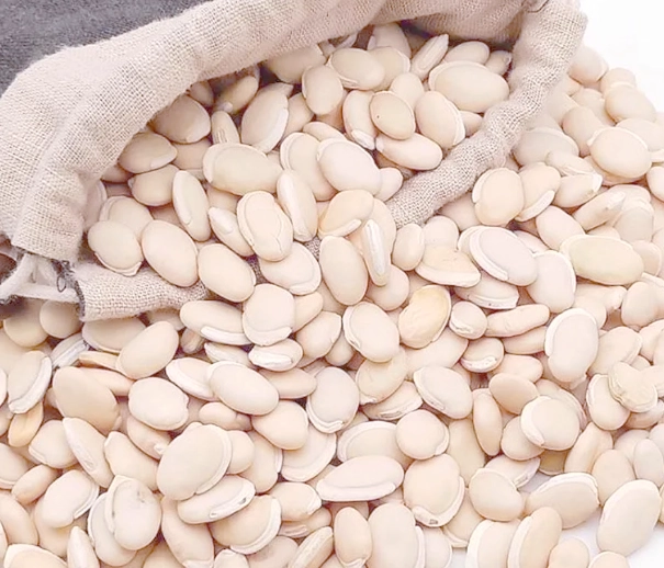 白扁豆食物相克