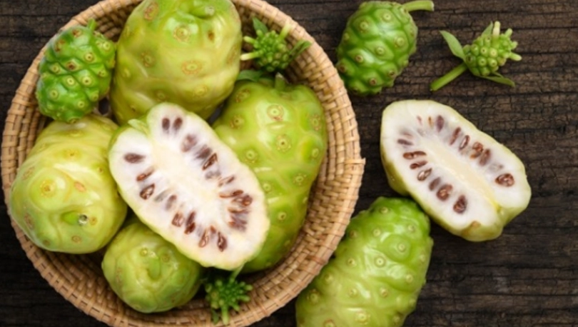 諾麗果酵素功效與禁忌