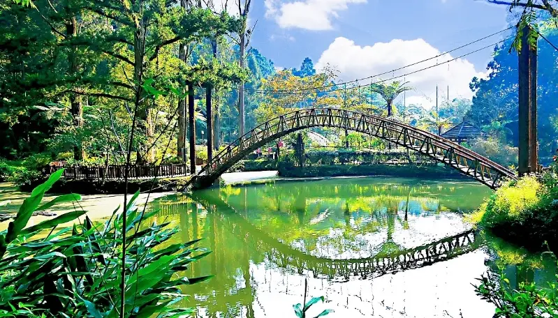 南投三天兩夜行程規劃｜山城慢活、茶香秘境、日月潭湖光全攻略