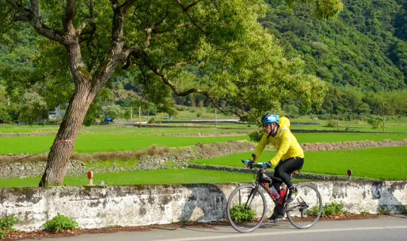 單車環島路線規劃