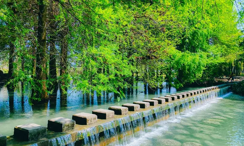 花蓮寵物友善景點