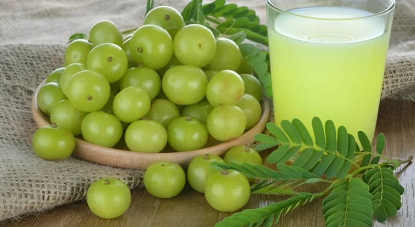 油甘果茶終極指南：從功效、自製到購買，一篇搞懂所有眉角