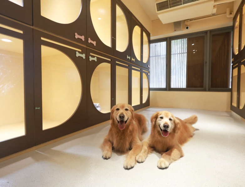寵物住宿台中