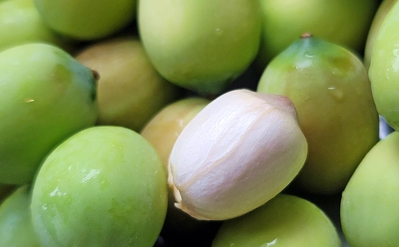 新鮮蓮子保存全攻略：從挑選到延長賞味期的實用技巧