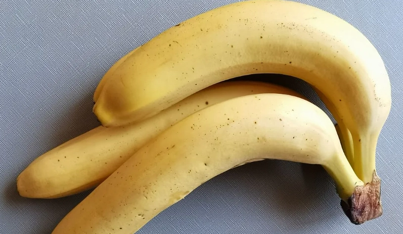 狗狗 水果 安全