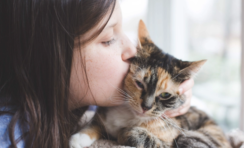 貓咪眼中的美女定義：從貓視角解讀牠們喜歡的人類特質