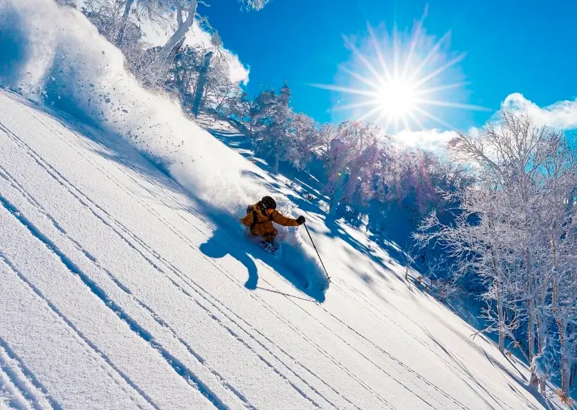 北海道滑雪攻略完整指南：雪場選擇、行程規劃與預算控制（新手老手都適用）