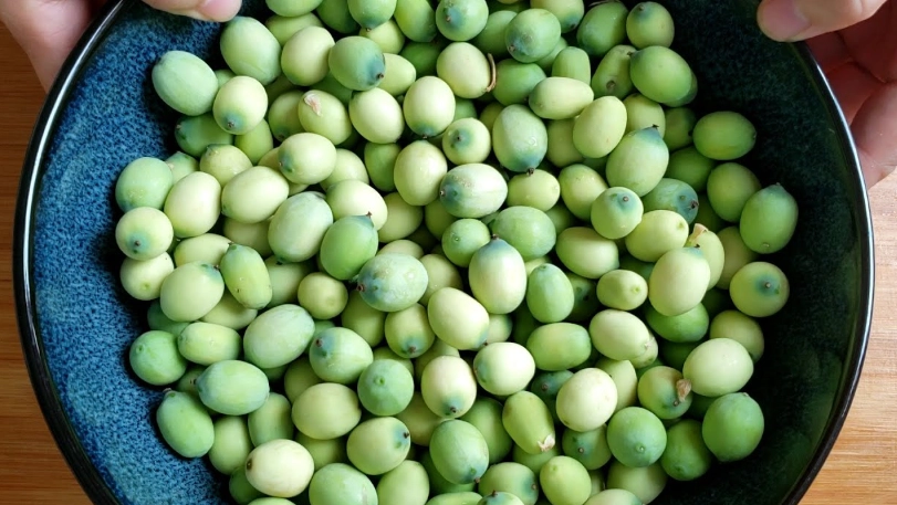 新鮮蓮子怎麼保存