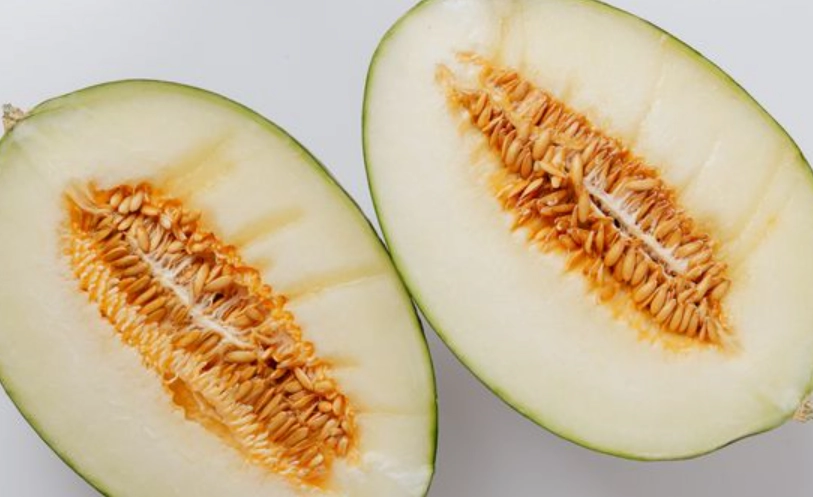 寵物 飲食 安全