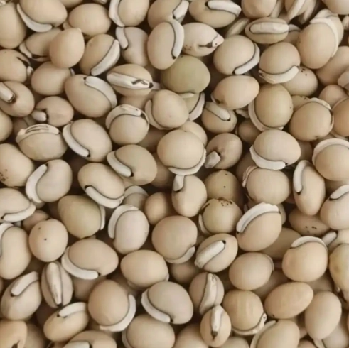 白扁豆不能和什麼一起吃