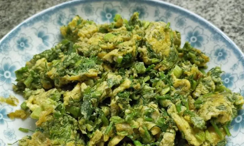 茴香菜 處理 方法