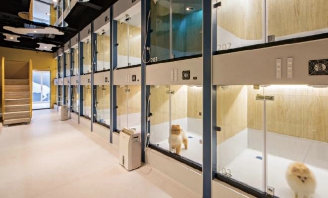 台中寵物安親班