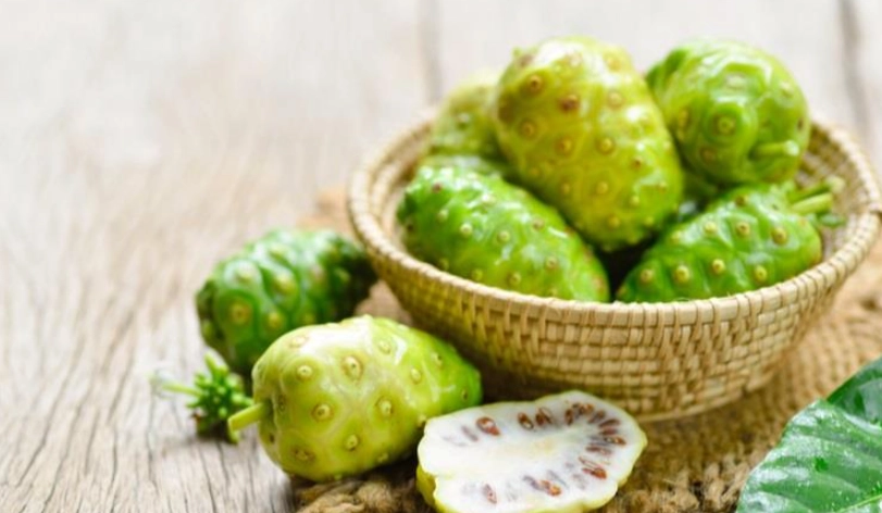 諾麗果酵素安全嗎