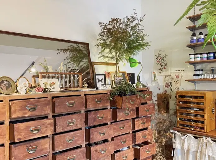 台北雨天親子去處