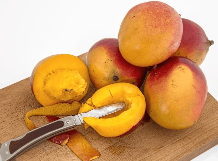 芒果對狗狗的好處 芒果對狗狗的好處