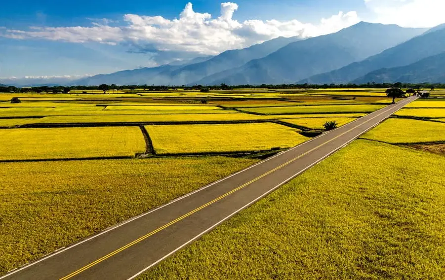 台灣自由行攻略