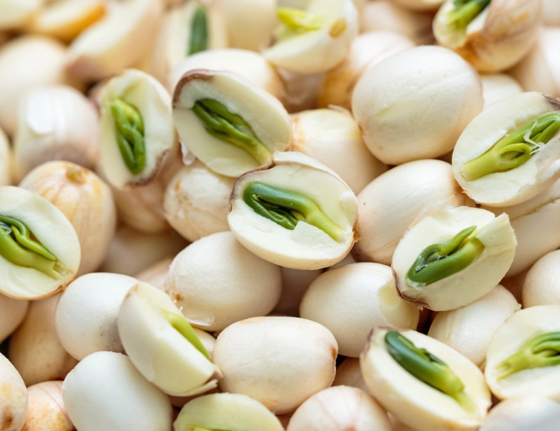 蓮子會苦嗎？揭秘蓮子去苦芯秘訣與美味食譜