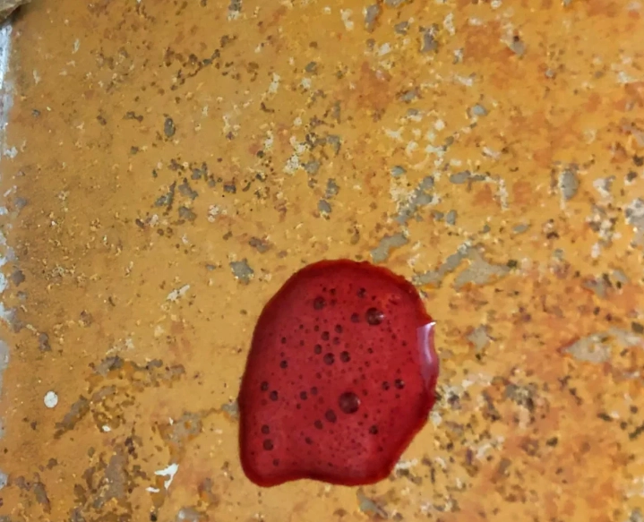 狗狗吐血緊急處理