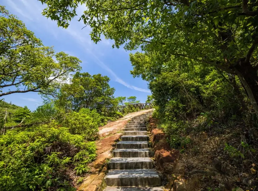台北親子步道 推車