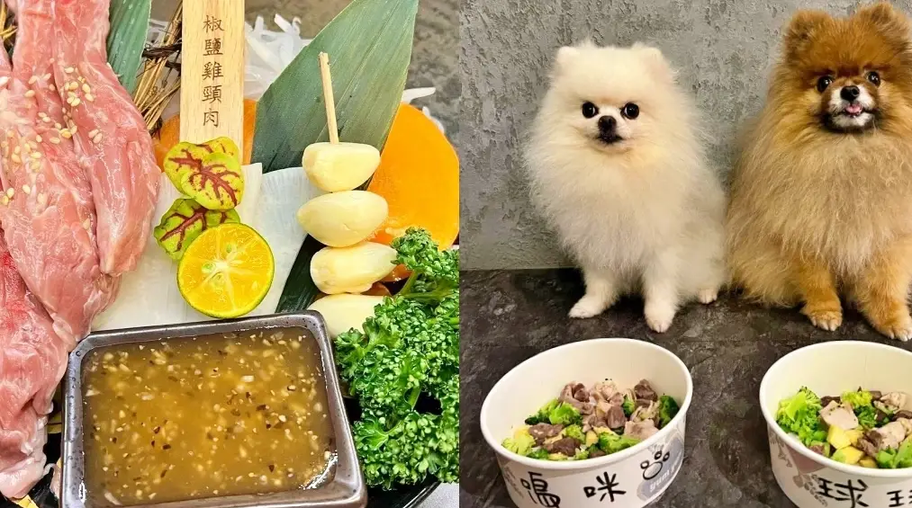 宜蘭帶寵物燒肉