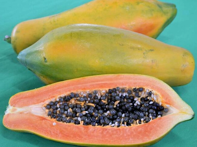 木瓜功效多但禁忌要知道！營養師詳解木瓜營養與食用注意事項