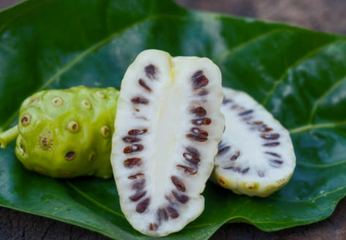 諾麗果功效 諾麗果功效