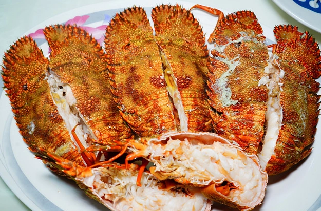 高雄怎麼玩 高雄怎麼玩