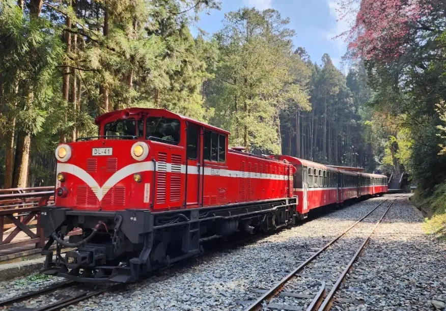 阿里山森林遊樂區 阿里山森林遊樂區