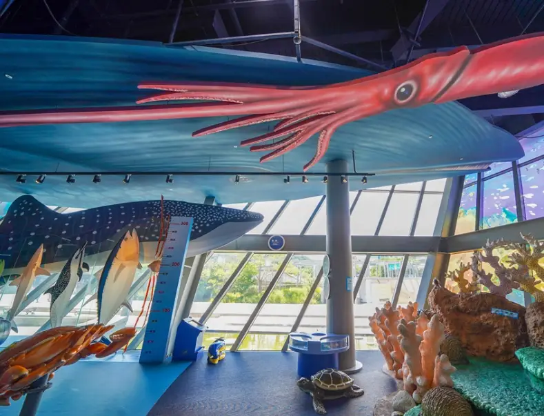 海科館一日遊 海科館一日遊