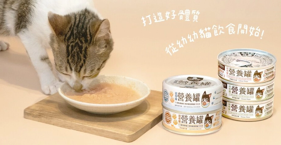 貓罐頭挑選