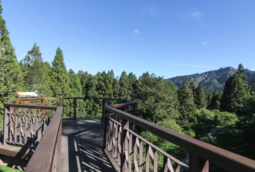 阿里山開車一日遊 阿里山開車一日遊