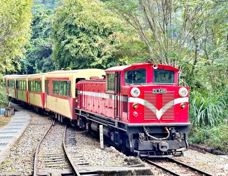 阿里山森林遊樂區 阿里山森林遊樂區