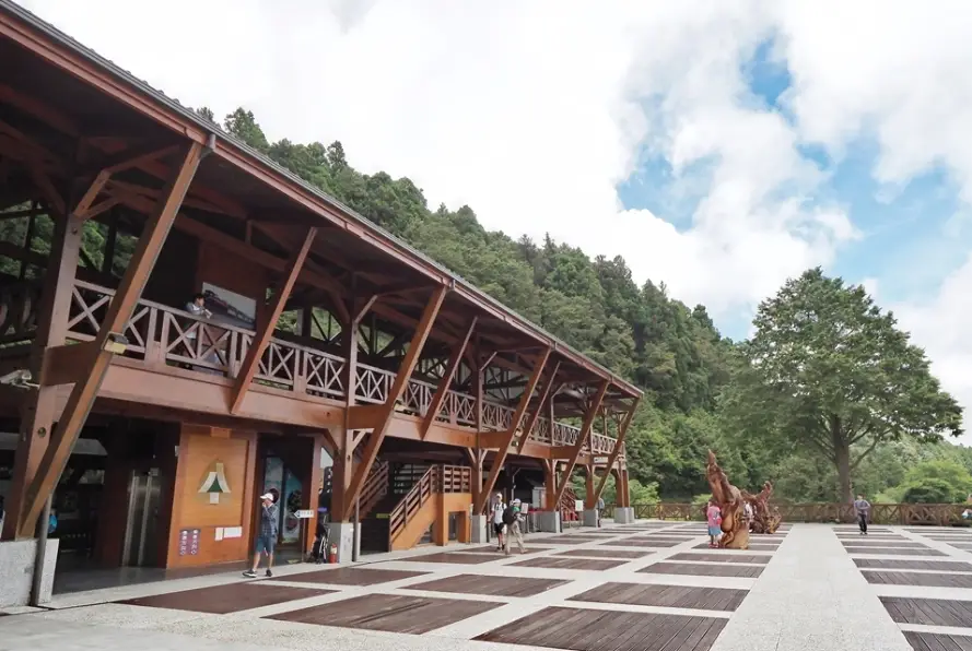 阿里山一日遊開車全攻略：必去景點、行程規劃與開車注意事項