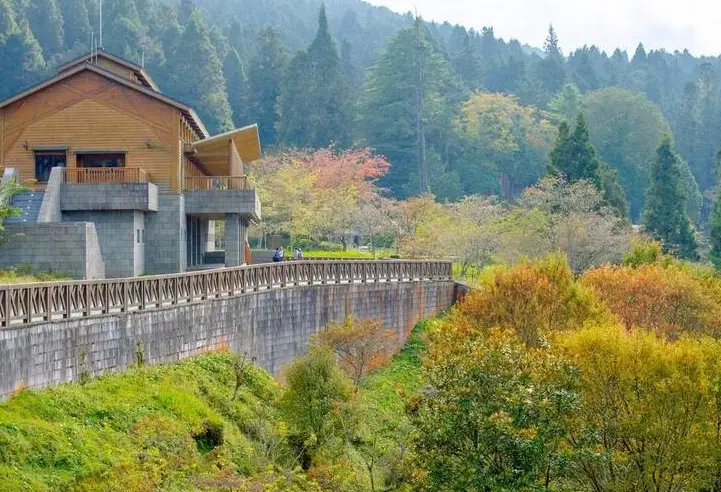 阿里山行程規劃 阿里山行程規劃