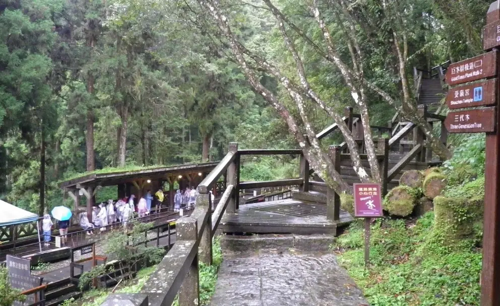 阿里山行程規劃 阿里山行程規劃