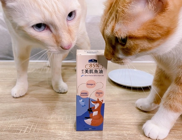貓咪魚油推薦