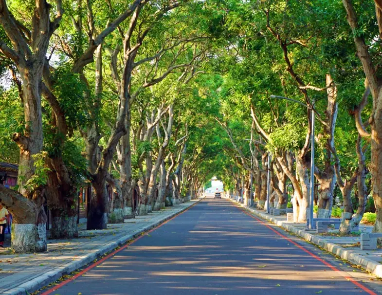 雲林兩天一夜親子小旅行：慢活農場與童趣景點全攻略