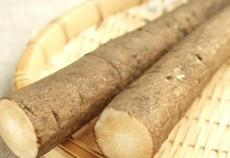 牛蒡是蔬菜嗎？從植物學到餐桌的完整解析