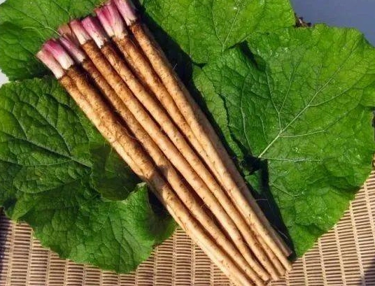 牛蒡功效 牛蒡功效