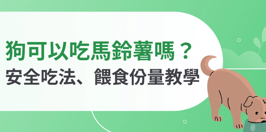 狗狗可以吃馬鈴薯嗎？獸醫親授安全餵食全攻略
