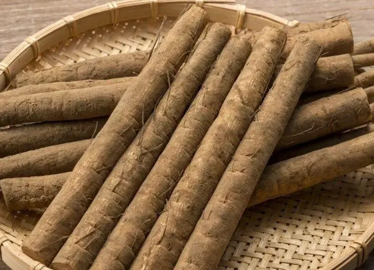 牛蒡料理 牛蒡料理