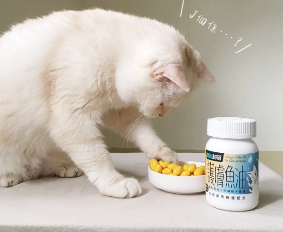 貓咪魚油推薦