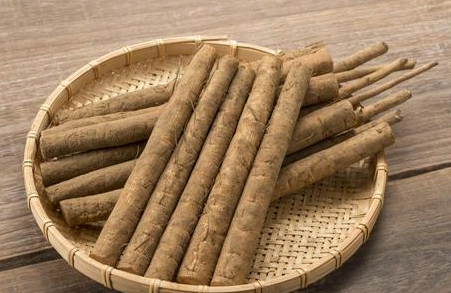 牛蒡料理 牛蒡料理