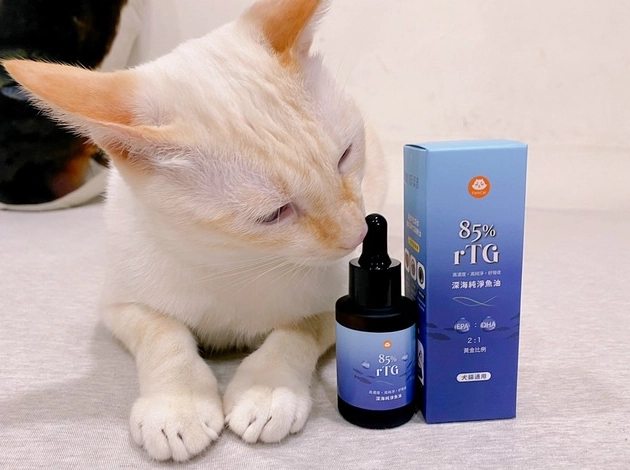 貓咪魚油劑量