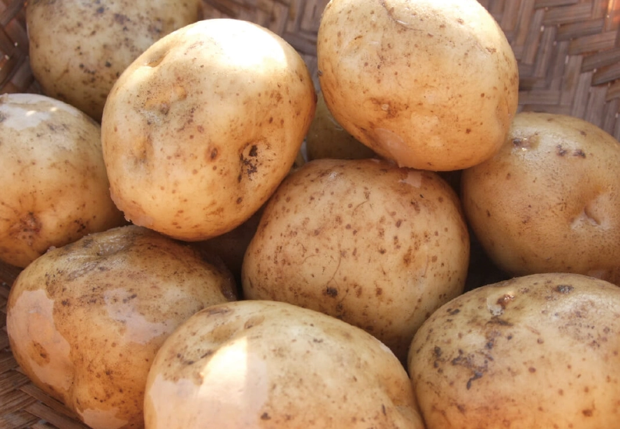 馬鈴薯皮可以吃嗎？安全性、營養與料理全攻略