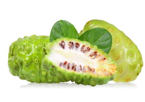 諾麗果酵素怎麼喝