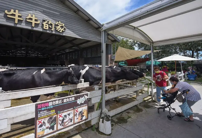 劍湖山世界親子