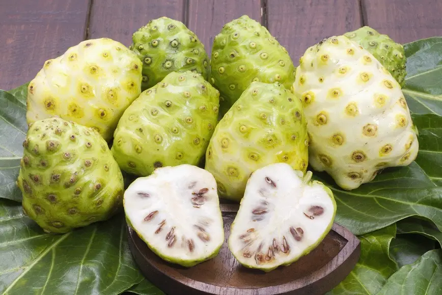 諾麗果酵素功效全解析，專家教你如何挑選與正確補充