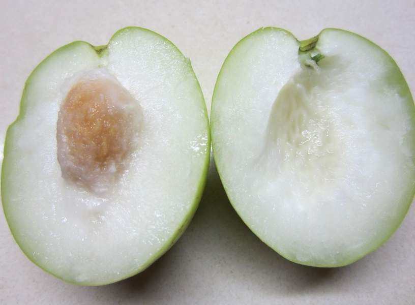 台灣蜜棗營養價值 台灣蜜棗營養價值