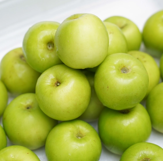 台灣蜜棗營養價值 台灣蜜棗營養價值